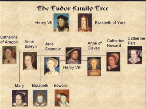 inghilterra famiglia tudor|king tudors england.